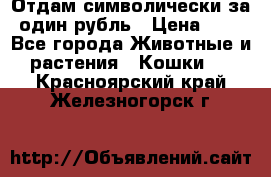 Отдам символически за один рубль › Цена ­ 1 - Все города Животные и растения » Кошки   . Красноярский край,Железногорск г.